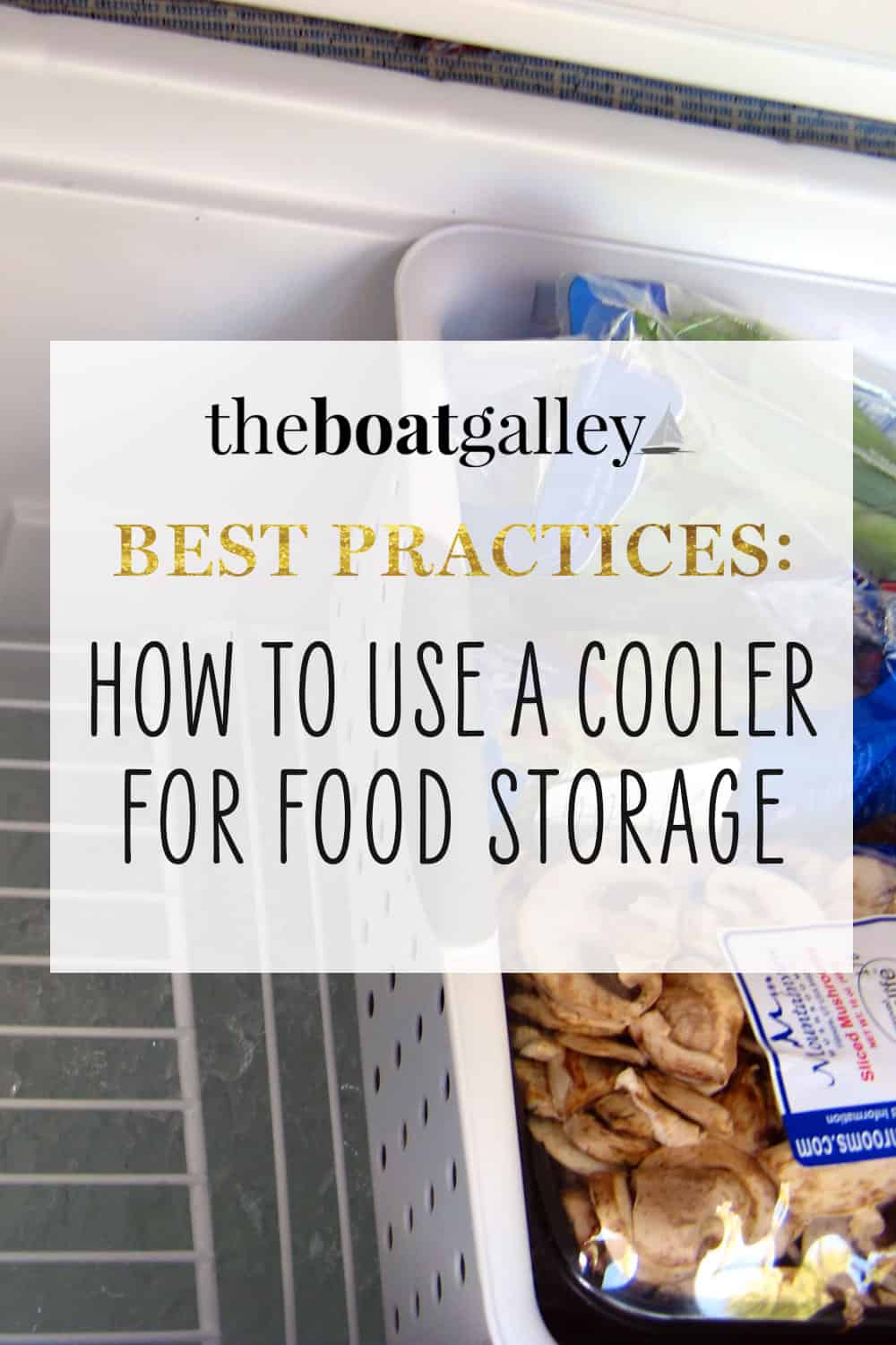 ice box for food storage