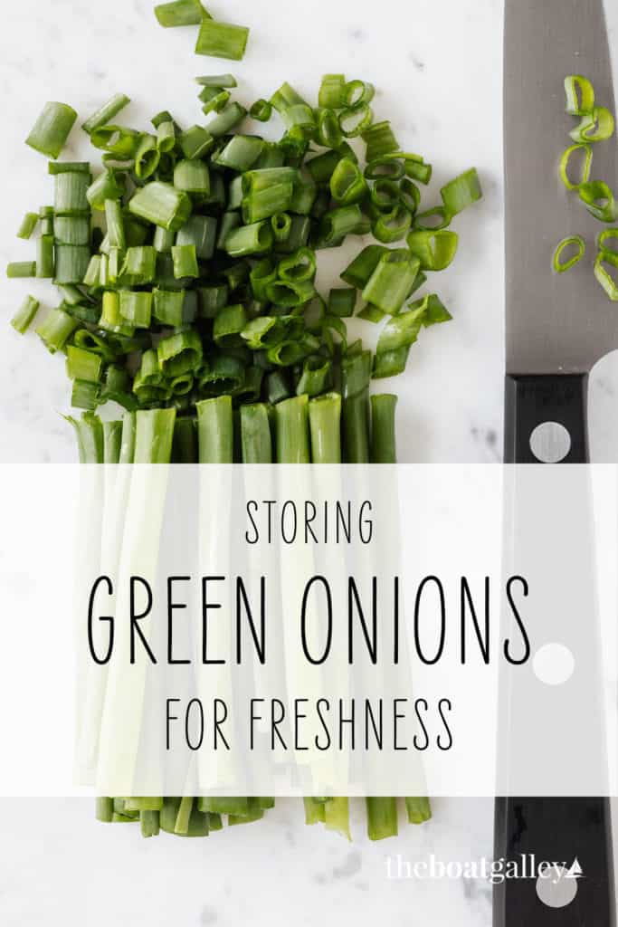 How to Store Green Onions The Boat Galley