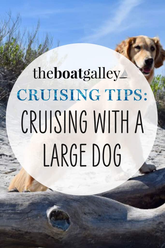 Wondering how to go cruising with a big dog? What can you do to make it easier? Answers here from Pamela Douglas Webster, who cruises with Honey, a golden retriever.