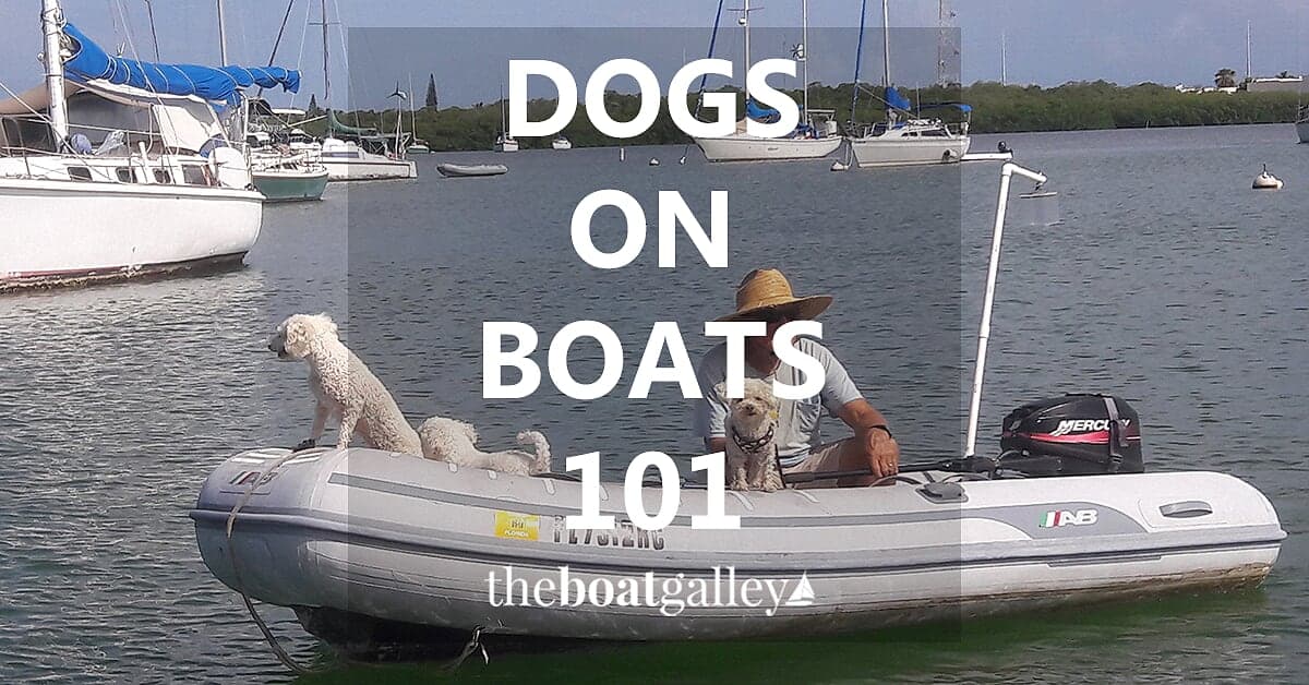 Dogs on Boats 101 The Boat Galley