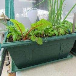 Garden-pot