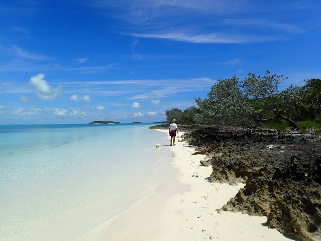 Man walking on beach with small dog.