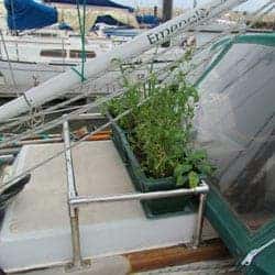 garden-outside