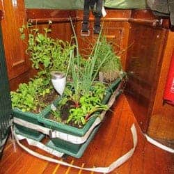 garden-underway